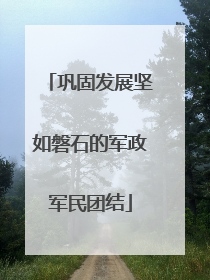 巩固发展坚如磐石的军政军民团结