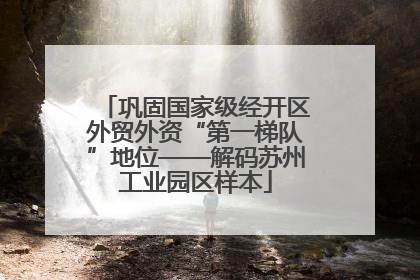 巩固国家级经开区外贸外资“第一梯队”地位——解码苏州工业园区样本