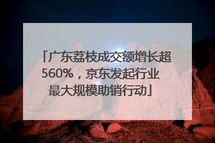 广东荔枝成交额增长超560%，京东发起行业最大规模助销行动