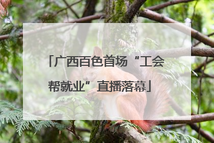 广西百色首场“工会帮就业”直播落幕