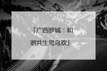 广西罗城：和谐共生鹭鸟欢