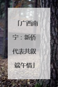 广西南宁：新侨代表共叙端午情