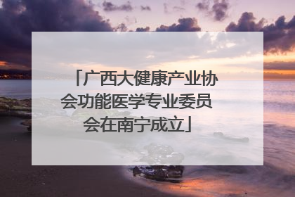广西大健康产业协会功能医学专业委员会在南宁成立