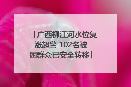 广西柳江河水位复涨超警 102名被困群众已安全转移
