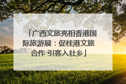 广西文旅亮相香港国际旅游展：促桂港文旅合作 引客入壮乡