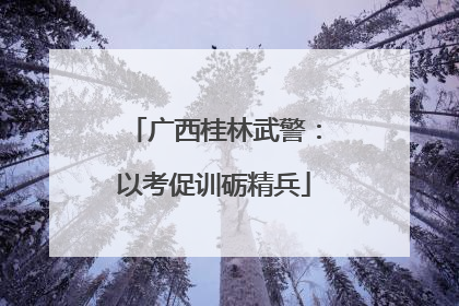 广西桂林武警：以考促训砺精兵