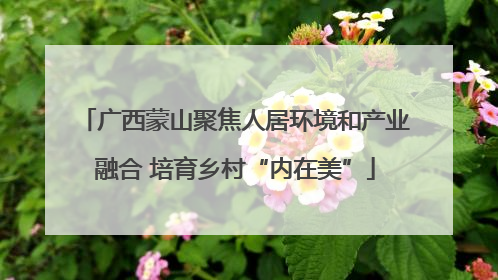 广西蒙山聚焦人居环境和产业融合 培育乡村“内在美”