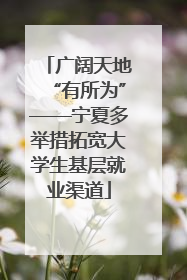 广阔天地“有所为”——宁夏多举措拓宽大学生基层就业渠道