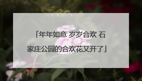年年如意 岁岁合欢 石家庄公园的合欢花又开了