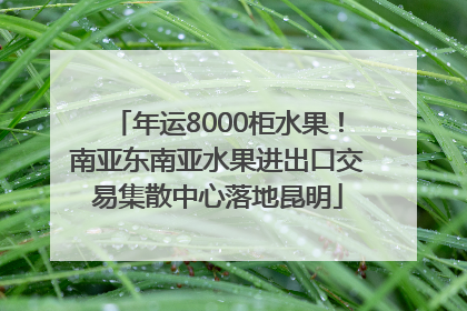 年运8000柜水果！南亚东南亚水果进出口交易集散中心落地昆明