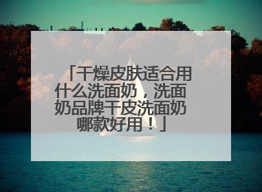 干燥皮肤适合用什么洗面奶，洗面奶品牌干皮洗面奶哪款好用！