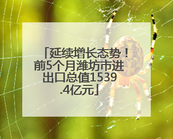 延续增长态势！前5个月潍坊市进出口总值1539.4亿元