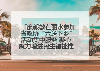 廉毅敏在丽水参加省政协“六送下乡”活动集中服务 凝心聚力增进民生福祉推进共同富裕