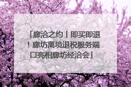 廊洽之约丨即买即退！廊坊离境退税服务端口亮相廊坊经洽会