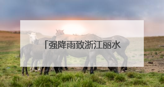 强降雨致浙江丽水部分地区发生内涝 各地积极抢险