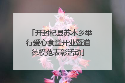 开封杞县苏木乡举行爱心食堂开业暨道德模范表彰活动