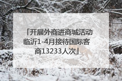 开展外商进商城活动 临沂1-4月接待国际客商13233人次
