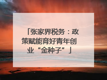 张家界税务：政策赋能育好青年创业“金种子”