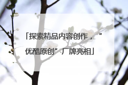 探索精品内容创作，“优酷原创”厂牌亮相