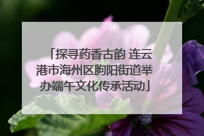 探寻药香古韵 连云港市海州区朐阳街道举办端午文化传承活动