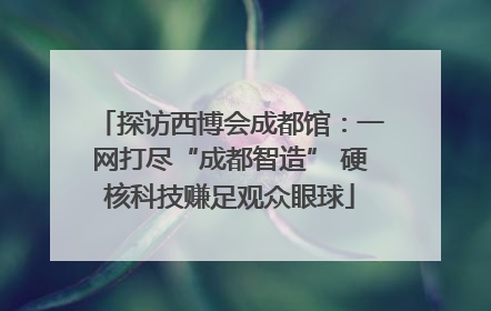 探访西博会成都馆：一网打尽“成都智造” 硬核科技赚足观众眼球
