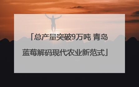 总产量突破9万吨 青岛蓝莓解码现代农业新范式