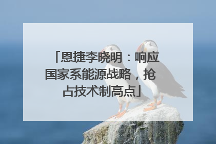 恩捷李晓明：响应国家系能源战略，抢占技术制高点