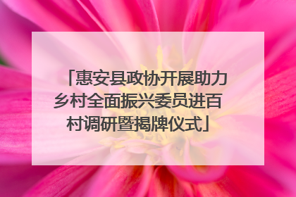 惠安县政协开展助力乡村全面振兴委员进百村调研暨揭牌仪式