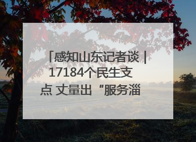 感知山东记者谈｜17184个民生支点 丈量出“服务淄博”的文明温度