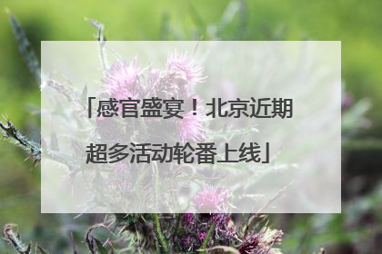 感官盛宴！北京近期超多活动轮番上线