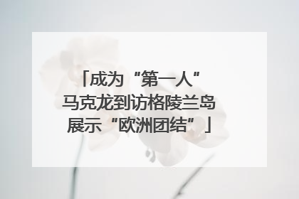 成为“第一人” 马克龙到访格陵兰岛展示“欧洲团结”