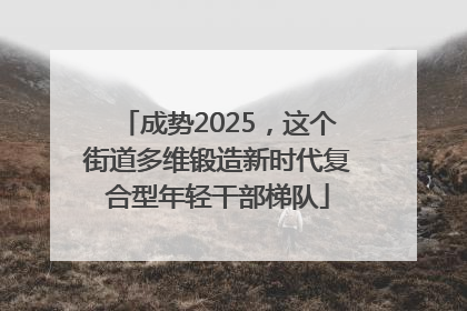 成势2025，这个街道多维锻造新时代复合型年轻干部梯队