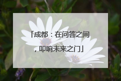 成都：在问答之间，叩响未来之门