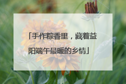 手作粽香里，藏着益阳端午最暖的乡情