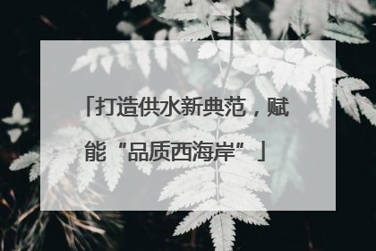打造供水新典范，赋能“品质西海岸”