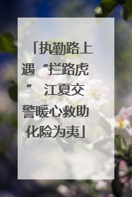 执勤路上遇“拦路虎” 江夏交警暖心救助化险为夷