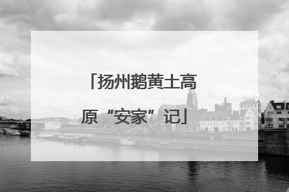 扬州鹅黄土高原“安家”记
