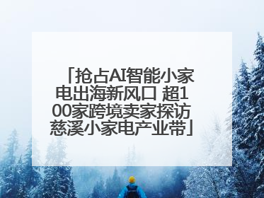抢占AI智能小家电出海新风口 超100家跨境卖家探访慈溪小家电产业带