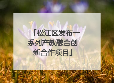 松江区发布一系列产教融合创新合作项目
