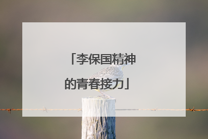 李保国精神的青春接力