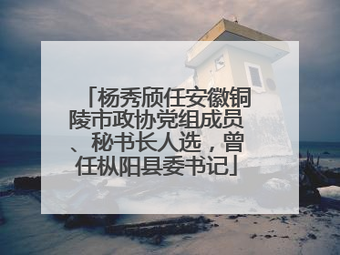 杨秀颀任安徽铜陵市政协党组成员、秘书长人选，曾任枞阳县委书记
