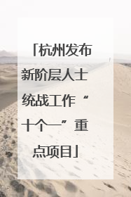 杭州发布新阶层人士统战工作“十个一”重点项目