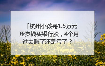 杭州小孩哥1.5万元压岁钱买银行股，4个月过去赚了还是亏了？
