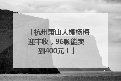 杭州萧山大棚杨梅迎丰收，96颗能卖到400元！