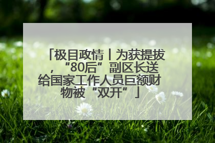 极目政情丨为获提拔，“80后”副区长送给国家工作人员巨额财物被“双开”