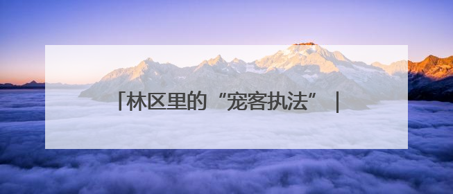 林区里的“宠客执法”｜湖北市场监管所的故事