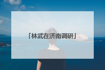 林武在济南调研