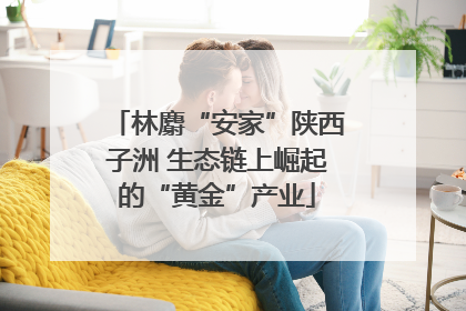 林麝“安家”陕西子洲 生态链上崛起的“黄金”产业
