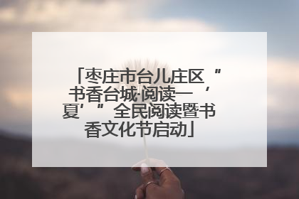 枣庄市台儿庄区“书香台城·阅读一‘夏’”全民阅读暨书香文化节启动