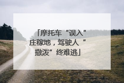摩托车“误入”庄稼地，驾驶人“撒泼”终难逃